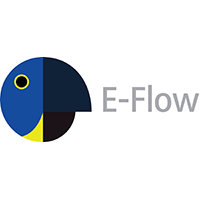 E-Flow